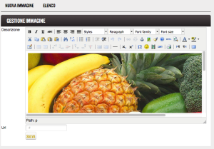 ecsync-gestione-slideshow-ecommerce